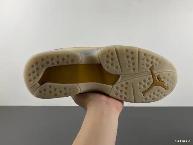 Rep 8 Jordan Retro Champagne 832821-030 0616